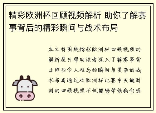 精彩欧洲杯回顾视频解析 助你了解赛事背后的精彩瞬间与战术布局